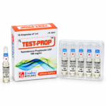 Test-Prop 100mg/ml 1 Box 10 Ampule